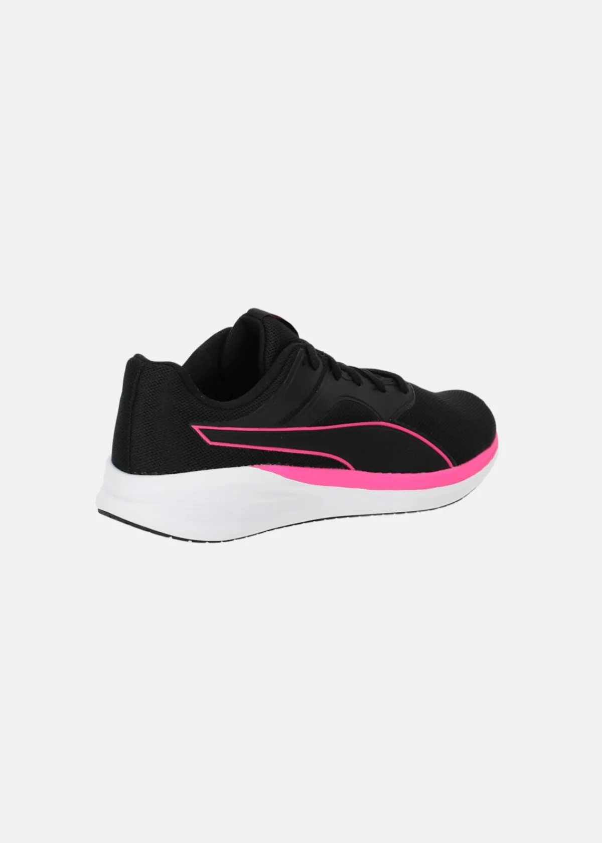 Puma Transport