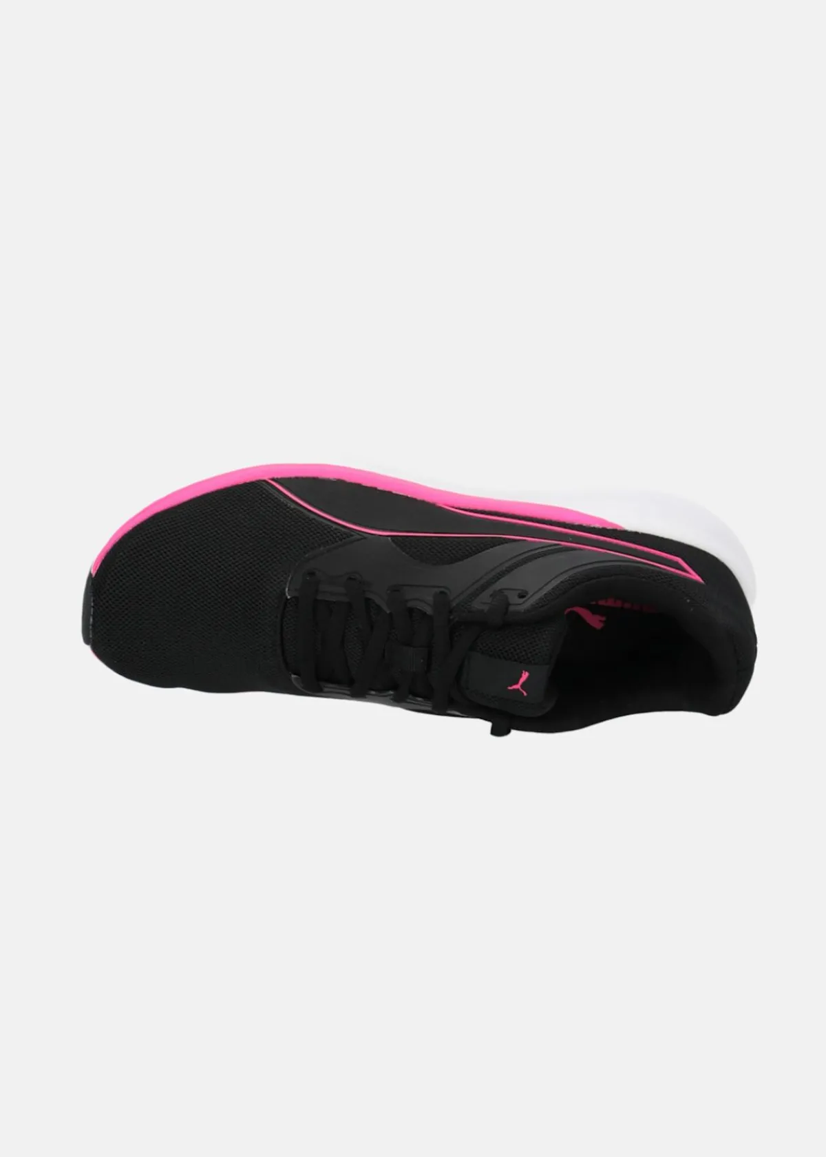 Puma Transport