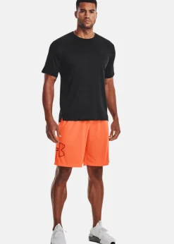 Under Armour UA TECH GRAPHIC SHORT