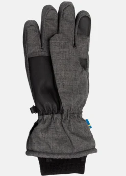 Swedemount Vemdalen Glove W